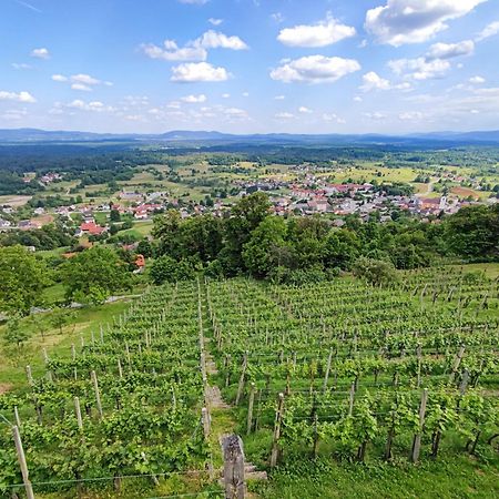 Zidanica-Vineyard Cottage Jakse Semic Eksteriør billede