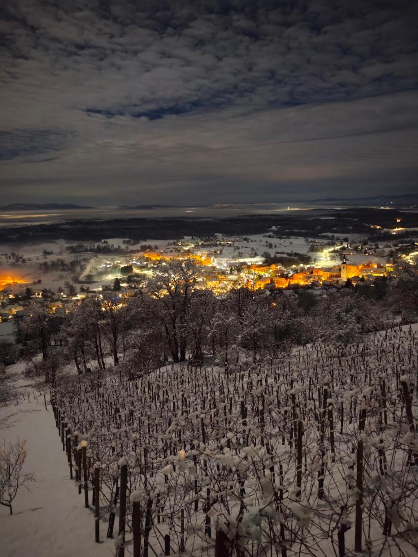 Zidanica-Vineyard Cottage Jakse Semic Værelse billede
