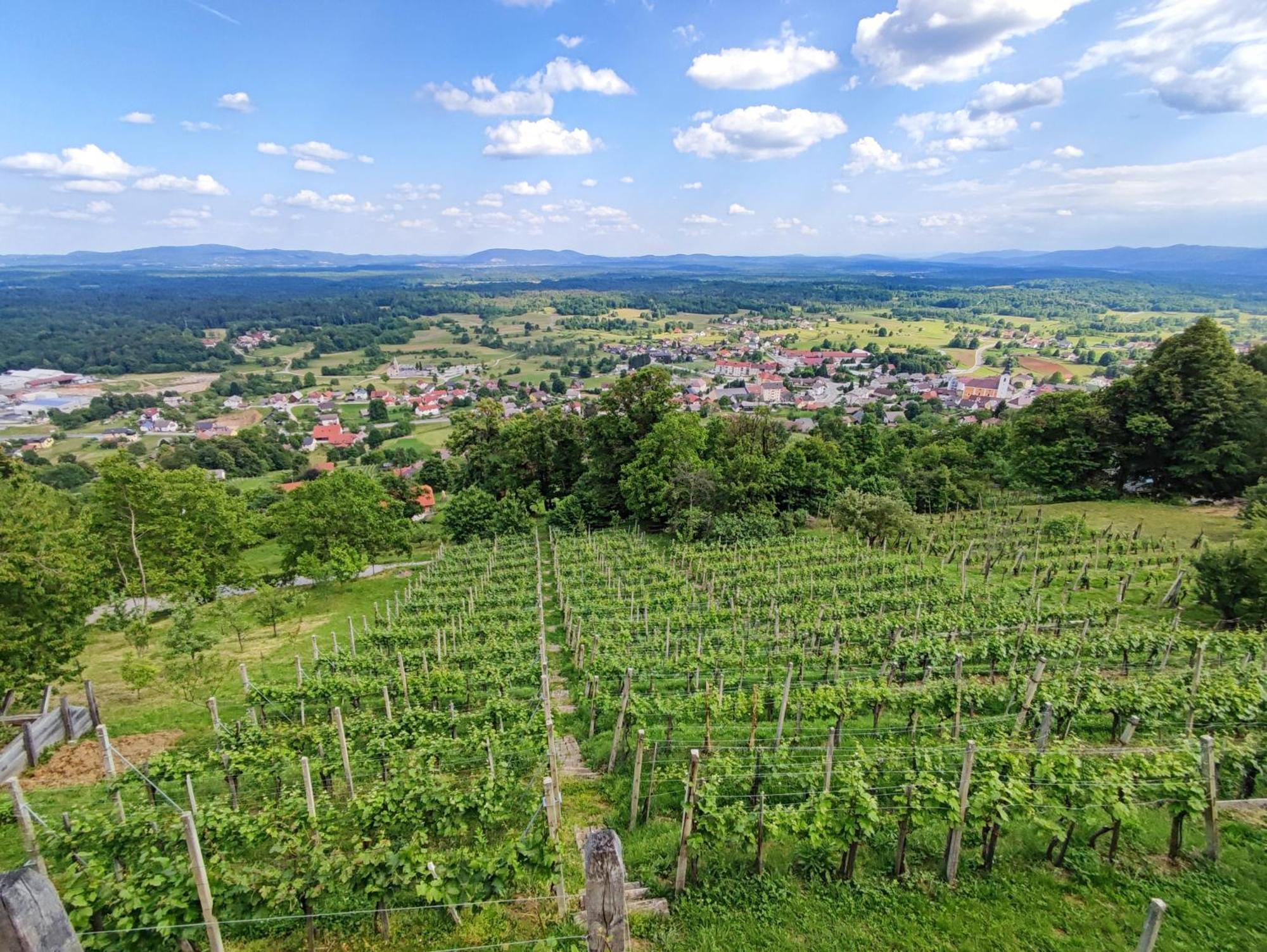 Zidanica-Vineyard Cottage Jakse Semic Eksteriør billede